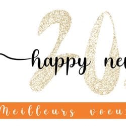 Happy new year 2021 Neuro France Implants Site Internet