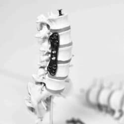 Capture D’écran 2026 02 25 084350